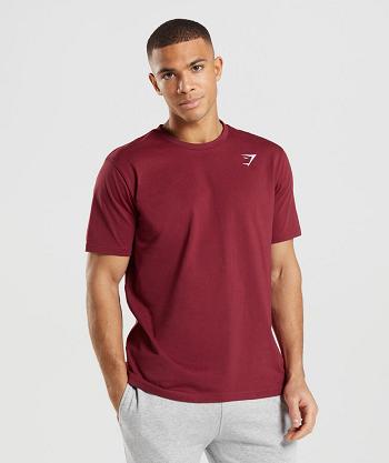 Gymshark Crest T Shirts Herr Vinröda Röda | SE 3842GSO